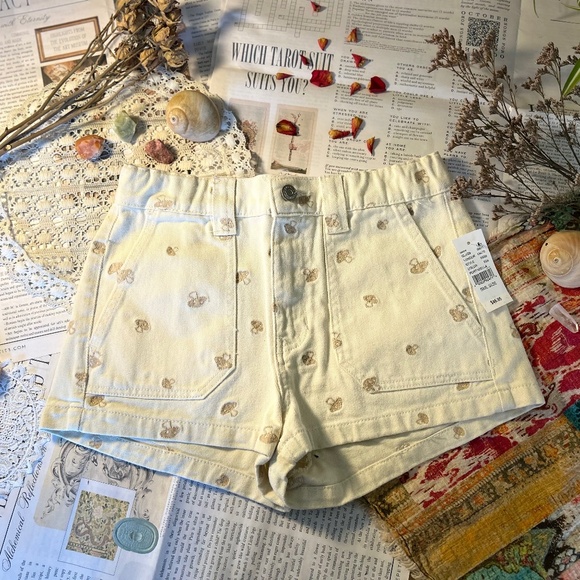 PacSun embroidered shorts - Picture 1 of 5